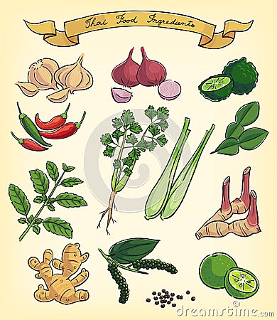 Hand drawn thai food ingredients Vector Illustration