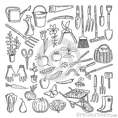 Hand drawn tools for farming and gardening. Doodle of nature environment Vector Illustration