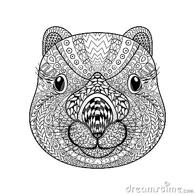 Hand drawn tribal Wombat face, animal totem for adult Vector Illustration