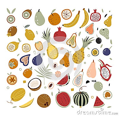 Hand drawn tropical and exotic fruits isolated on white background in unique trendy organic style. Doodle fruits Vector Illustration