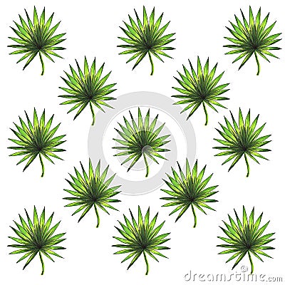 Hand drawn tropical leaves background Stock Photo