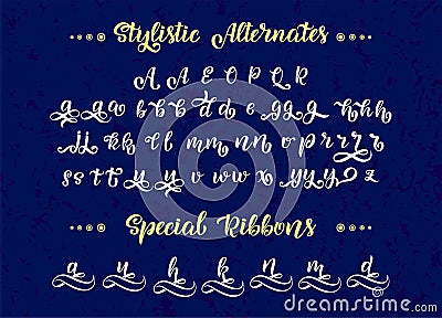 Hand drawn typeface. Brush painted letters. Handwritten script alphabet isolated on white background. Handmade alphabet Vector Illustration