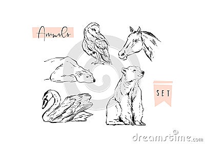 Hand drawn vector abstract graphic animals set collection of swan,polar bear,horse and owl ink brush painted isolated on Vector Illustration