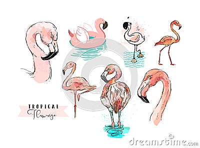 Hand drawn vector abstract summer time freehand textured tropical pink flamingo collection illustrations set in Vector Illustration