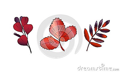 Hand drawn vector autumn color leaves set. Cartoon Illustration