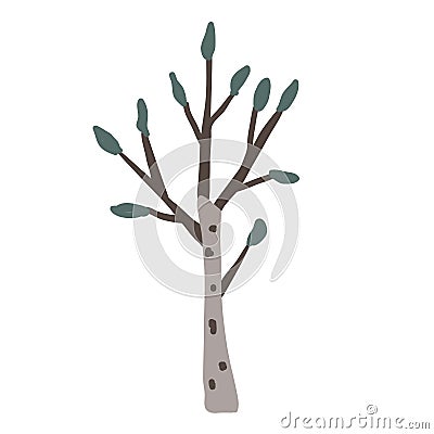 Hand drawn vector birch tree icon. Doodle Scandinavian style illustration isolated on white background. Cute element for Vector Illustration