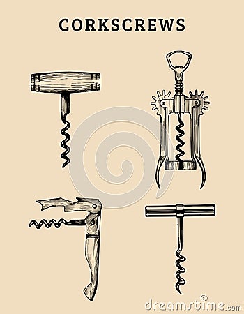 Hand drawn vector corkscrews set. Retro illustrations collection of different spins in sketch style. Vector Illustration