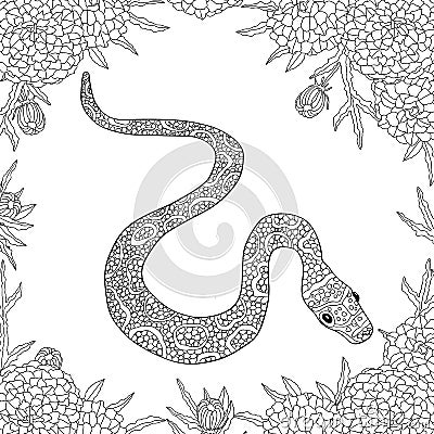 Hand drawn vector doodle outline snake decorated with ornaments.Ready for adult anti stress coloring book Vector Illustration