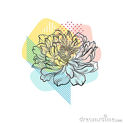 Hand drawn vector flower with colorful abstract backdrop. Beautiful flowering peony. Linear botanical drawing Vector Illustration
