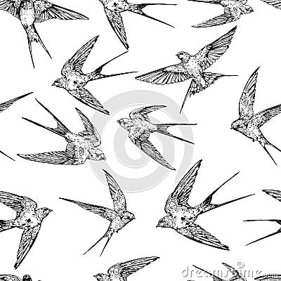 Hand drawn vector flying swallows seamless background Stock Photo