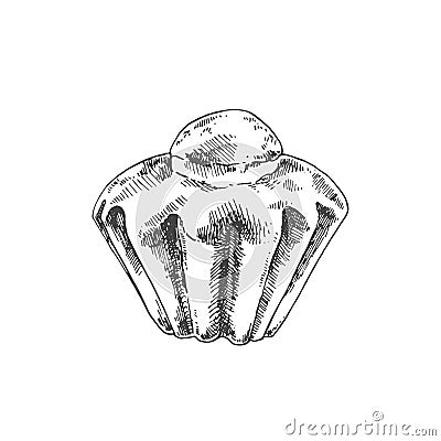 Hand drawn vector french brioche bun illustration Vector Illustration