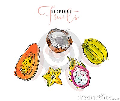 Hand drawn vector graphic abstract artistic exotic fruits illustrations collection set with coconut,papaya,dragon fruit Vector Illustration