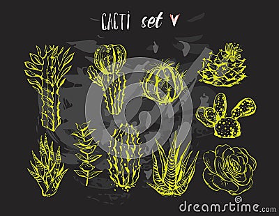 Hand drawn vector graphic creative succulent,cactus and plants collection set isolated on black background.Unique Vector Illustration