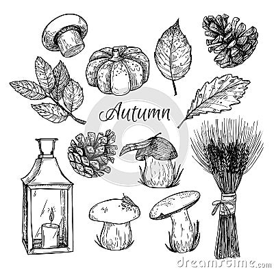 Hand drawn vector illustration - Autumn. Vector Illustration