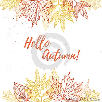 Hand drawn vector illustration. Background with Fall leaves. For Vector Illustration
