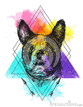 Hand drawn vector illustration bulldog. Sketch style dog. Vector Illustration