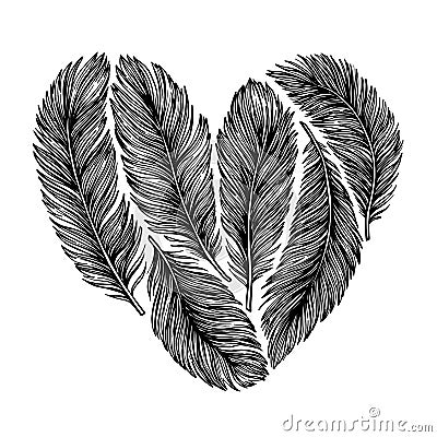 Hand drawn vector illustration - Feathers in shape of heart. Ha Vector Illustration