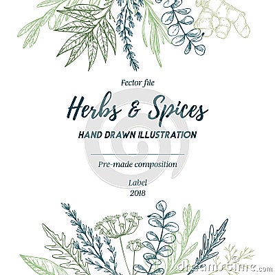 Hand drawn vector illustration. Frame with herbs and spices sag Vector Illustration