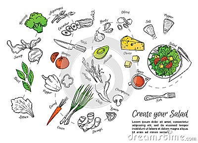 Hand drawn vector illustration of fresh salad with vegetables, c Vector Illustration