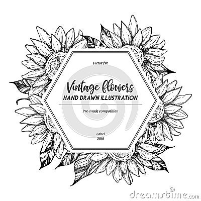 Hand drawn vector illustration. Label with sunflowers. Botanical Vector Illustration
