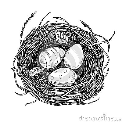 Hand drawn vector illustration - nest with Easter eggs. Happy Ea Vector Illustration