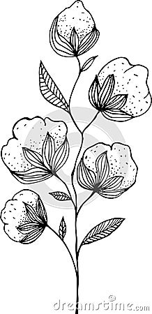 Hand drawn vector illustration of Ñotton branch Vector Illustration