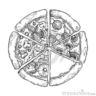 Hand drawn vector illustration - pizza. Types of pizza: Pepperoni, Margherita, Hawaiian, Mushroom. Sketch style Vector Illustration