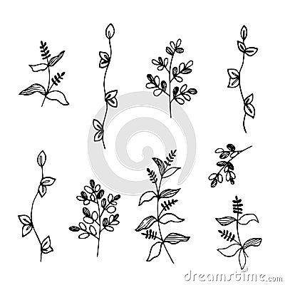 A set of simple twigs, wild grass. Vector Illustration
