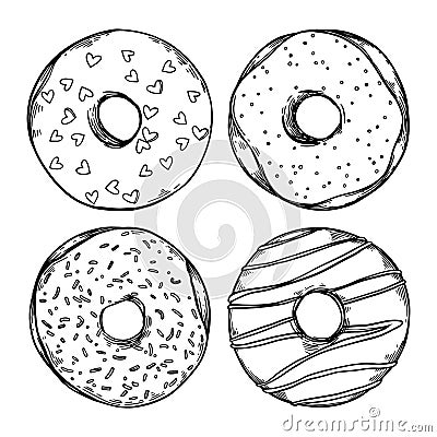 Hand drawn vector illustration - Set of tasty donuts. Sketch Vector Illustration