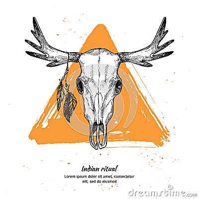 Hand drawn vector illustration - skull of animal with feathers. Vector Illustration