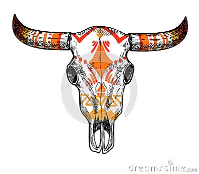 Hand drawn vector illustration - skull of animal. Vintage Vector Illustration