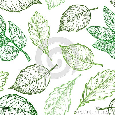 Hand drawn vector illustration. Spring seamless pattern with green leaves, herbs and branches. Floral Design elements. Perfect Vector Illustration