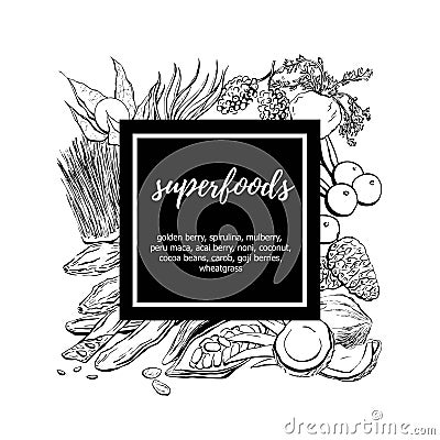 Vector hand drawn food illustration with superfoods Vector Illustration