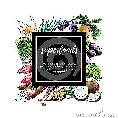 Vector watercolor illustration with set of superfoods Vector Illustration