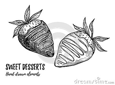 Hand drawn vector illustration - sweet strawberry with white and Vector Illustration