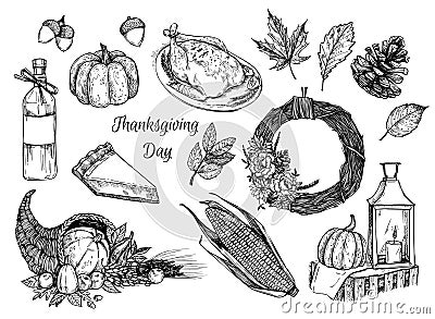 Hand drawn vector illustration - Thanksgiving day. Design elements Vector Illustration