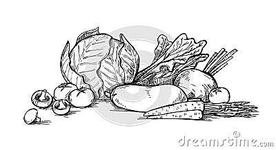 Hand drawn vector illustration - Vegetables. Supermarket. Vector Illustration