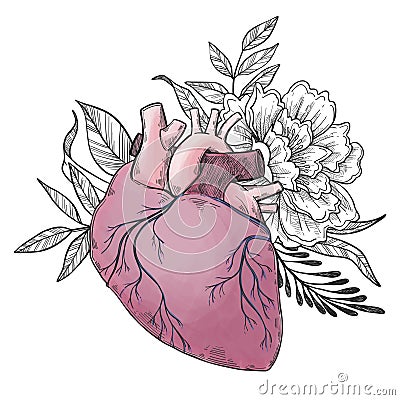 Hand drawn vector illustrations - Human heart with flowers and l Vector Illustration