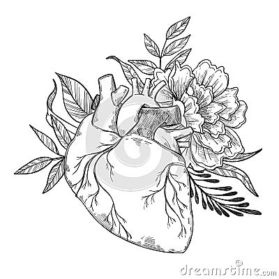 Hand drawn vector illustrations - Human heart with flowers Vector Illustration