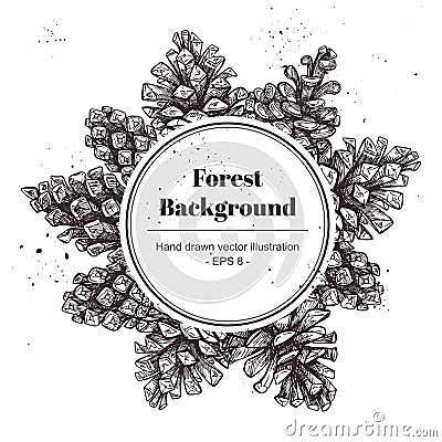 Hand drawn vector illustrations. Wreath with pine cones. Forest Vector Illustration