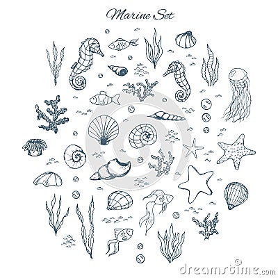 Hand drawn vector marine set with seahorses, shells, stars, seaweed, fish, coral and bubbles. Sea creatures outline on the white Vector Illustration