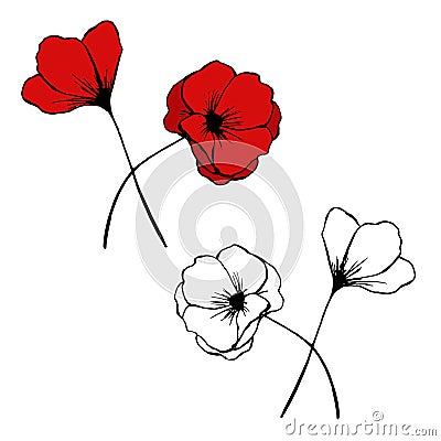 Hand drawn vector poppies doodle Cartoon Illustration