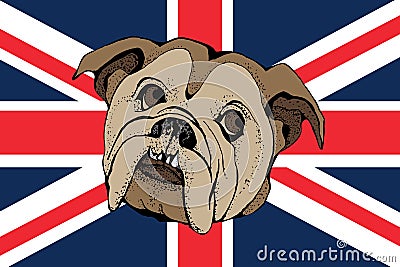Hand Drawn Vector Portrait of Bulldog on a brittish flag Vector Illustration