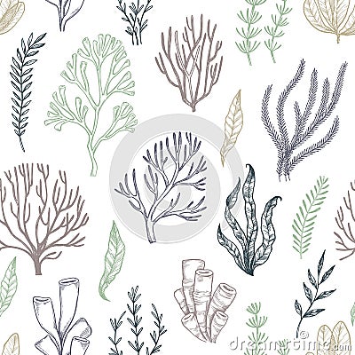 Hand drawn vector seamless patterns. Seaweed. Background with he Vector Illustration