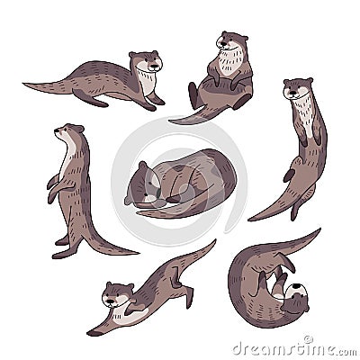 Hand drawn vector set of otters Vector Illustration