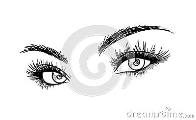 Beautiful Woman Eyes with Eyelash Extensions Sketch Vector Illustration