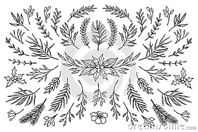 Hand drawn vector winter elements laurel, frame, leaf, Vector Illustration