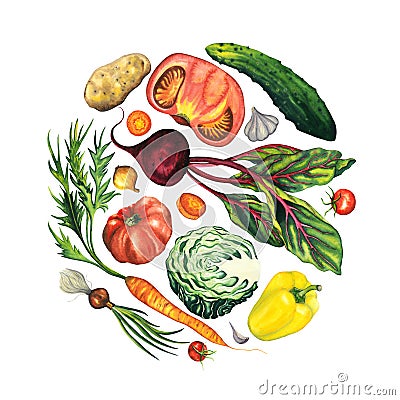 Hand drawn vegetable set of isolated beetroot, carrot, tomato, potato, onion, green onion, bell paper, cherry tomato Cartoon Illustration