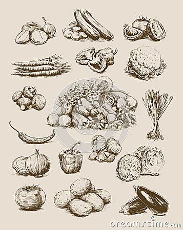 Hand Drawn Vegetables Set Stock Photo