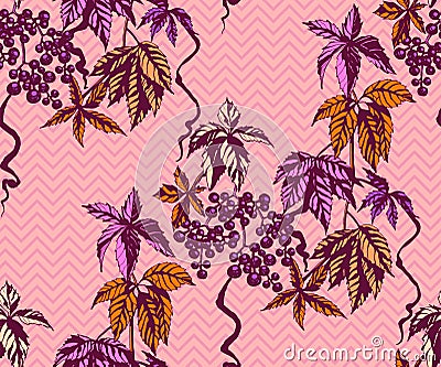 Hand drawn vine grapes decorative background. Ethnic seamless pattern ornament. Vector pattern Vector Illustration